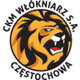 czestochowa logo