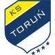 torun logo