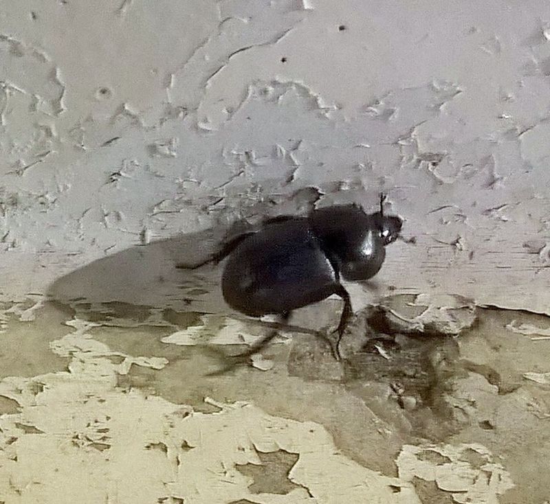 WP 20180121 21 48 01 Raw